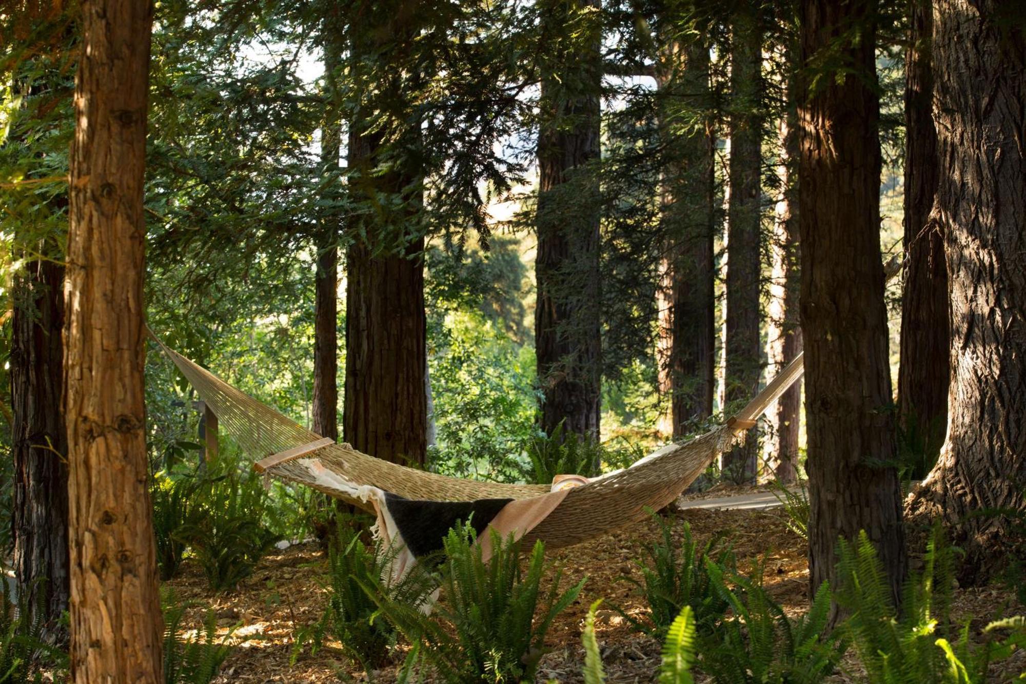 Alila Ventana Big Sur - Inclusive Resort (Adults Only) Экстерьер фото